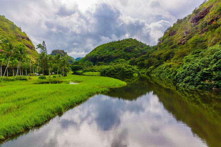lush green valley with river