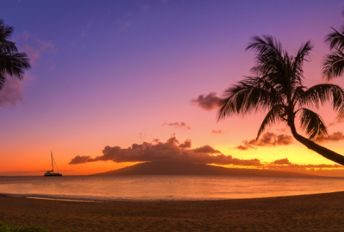 Purple, yellow, orange sunset view at the beach with palm trees and sail boat on water