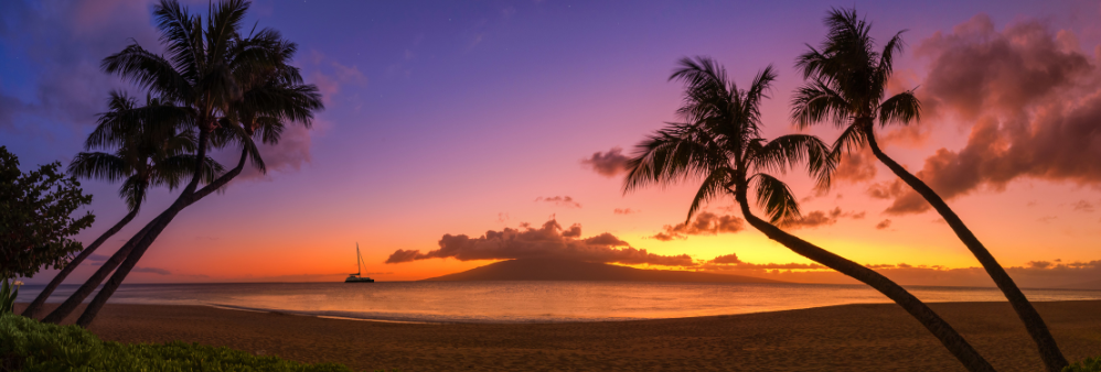 Purple, yellow, orange sunset view at the beach with palm trees and sail boat on water