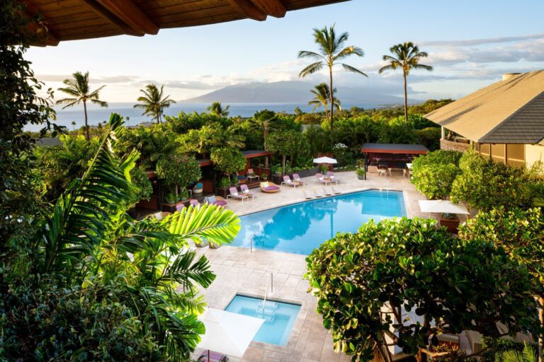 View of island hotel pool with palm trees, ocean, and mountain range in background.