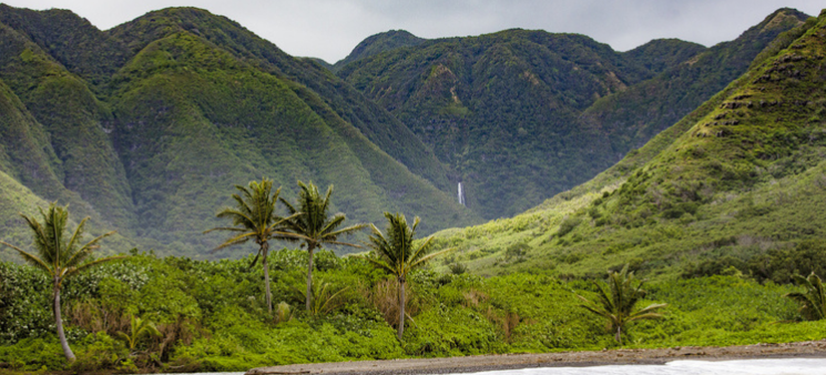 Molokai deep green valley with waterfall in distance