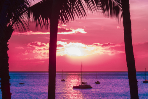 Pink and purple sunset over a sailboat filed cove on tropical island with silhouetted palm trees.