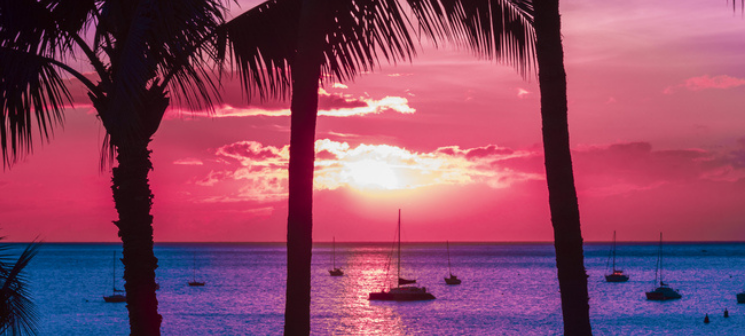 Pink and purple sunset over a sailboat filed cove on tropical island with silhouetted palm trees.