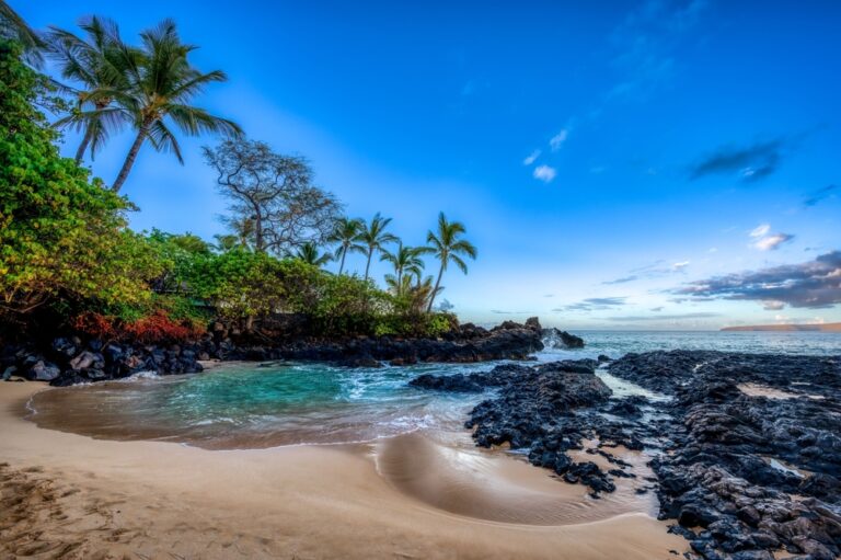 View of a beach with palms on Maui island and the pacific ocean on a sunny day, Hawaii
