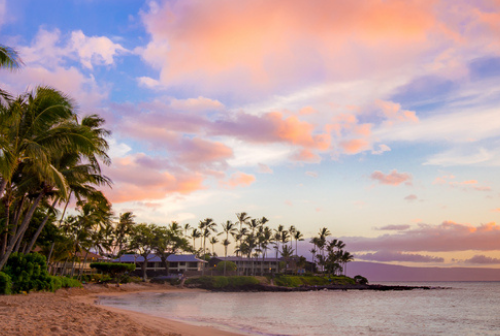 Tropical beach at sunset with palms
