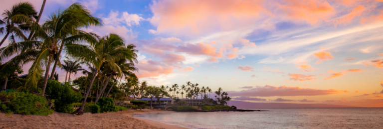 Tropical beach at sunset with palms