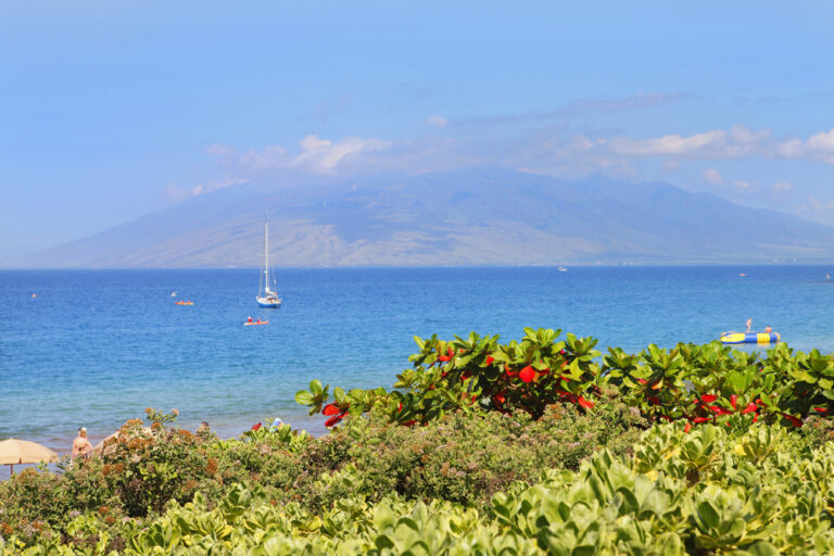 Maui Beach, sunny day, sailboat