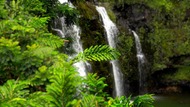 Tropical triple waterfalls